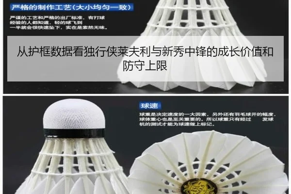 从护框数据看独行侠莱夫利与新秀中锋的成长价值和防守上限