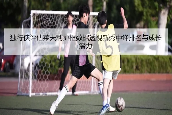 独行侠评估莱夫利护框数据透视新秀中锋排名与成长潜力