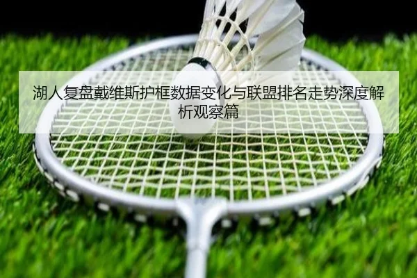 湖人复盘戴维斯护框数据变化与联盟排名走势深度解析观察篇