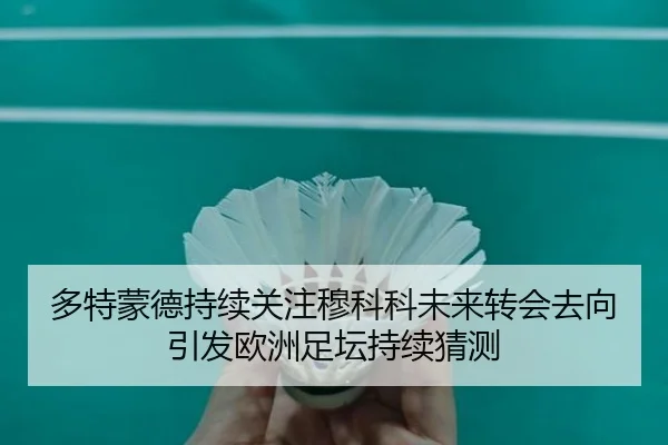多特蒙德持续关注穆科科未来转会去向引发欧洲足坛持续猜测
